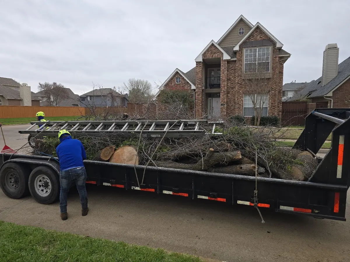 Expert Tree Removal with proper safety equipment in Kaltag
